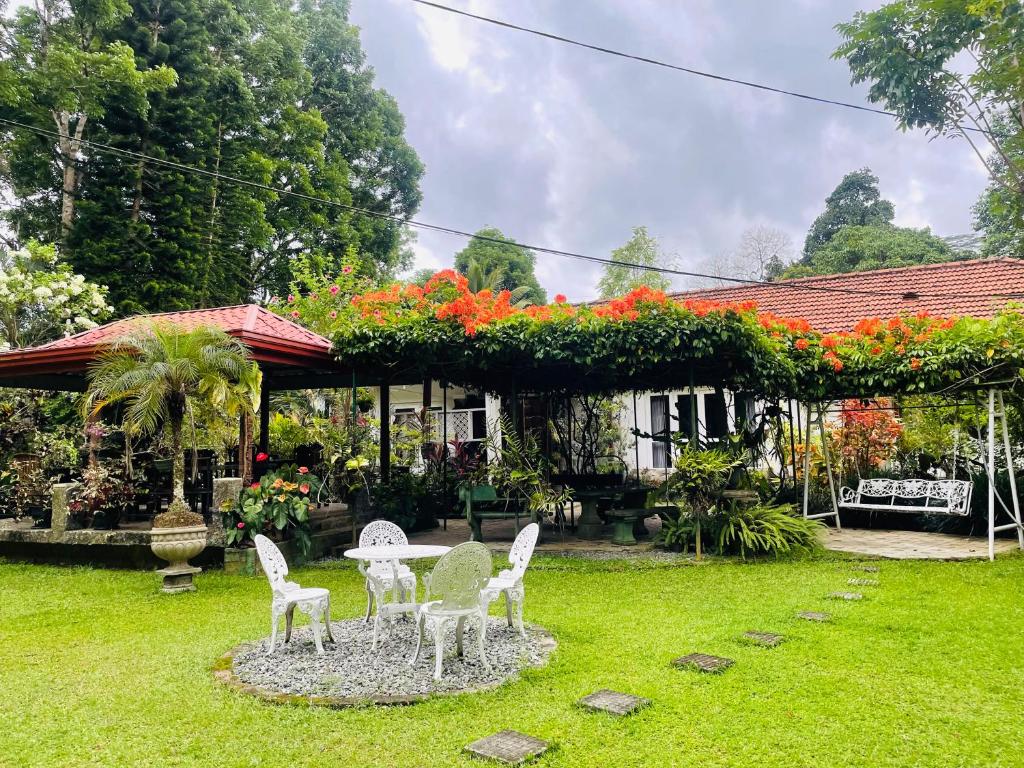 a garden with a table and chairs in a yard at Yalegoda Walauwa in Kandy