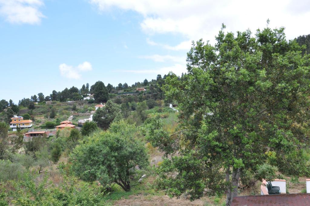 Oasis Hill Icod de los Vinos - 16