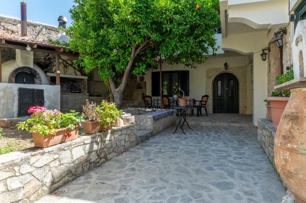 a patio with potted plants in front of a house at House Rachati in Zaros