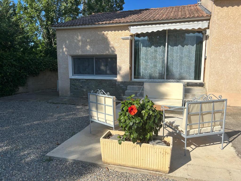 deux chaises et une table et une fleur dans un pot dans l'établissement Entre Mer et Montagne, à Venzolasca