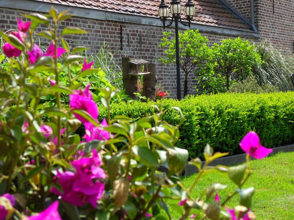 Zahrada ubytování B&B 'Het Logiement