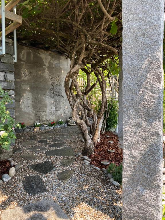 Zahrada ubytování Dream holiday house with a fantastic view of Lake Maggiore and the pool