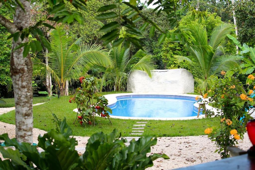 una pequeña piscina en un jardín con plantas en Casa de la Naturaleza, en Cóbano