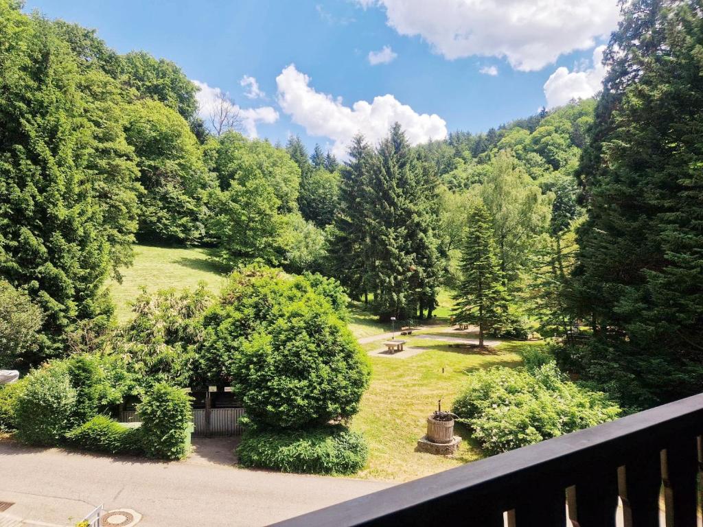 uma vista para um jardim a partir de uma varanda em Wasserfälle Apartments em Sasbachwalden