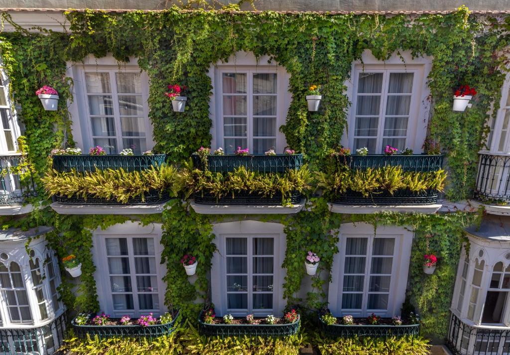 una fachada de un edificio cubierto de hiedra en La Casa de las Flores en Cartagena