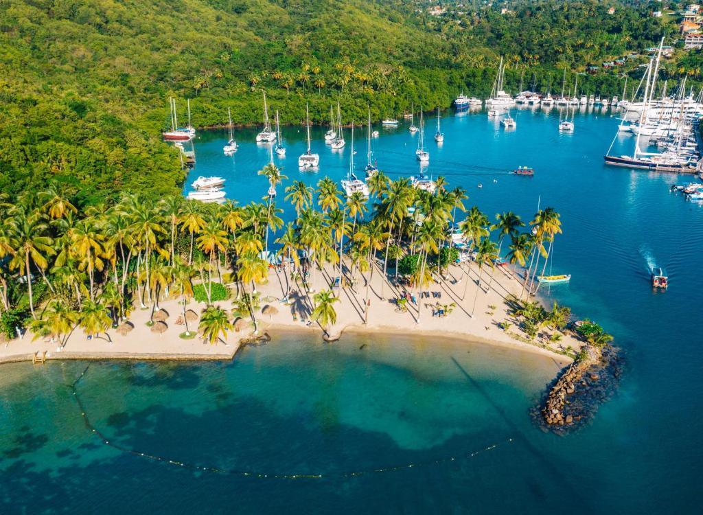 Aerial view of beach with palm trees, anchored boats, and turquoise tropical waters.