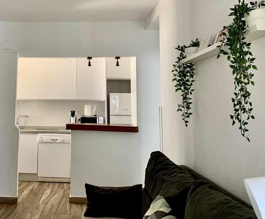 Kuchyňa alebo kuchynka v ubytovaní Urb Las Cañas Apartamento F1