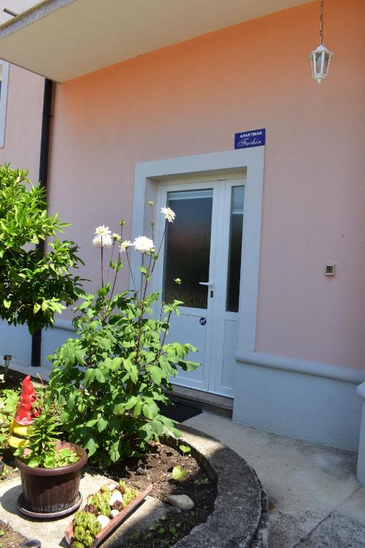 a front door of a building with a plant at Apartman Fachin in Motovun