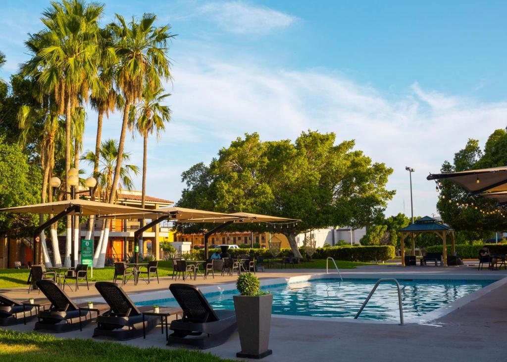 - une piscine avec des chaises, des tables et des palmiers dans l'établissement Hotel Colonial Mexicali, à Mexicali