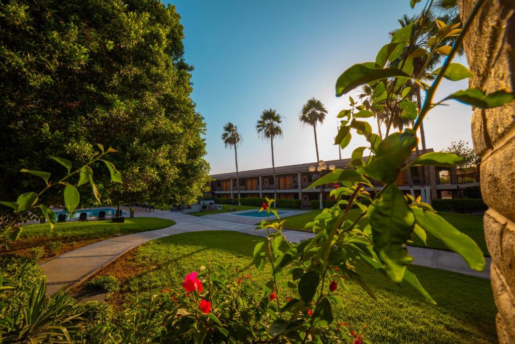 a view of a campus with a building in the background at Hotel Colonial Mexicali in Mexicali