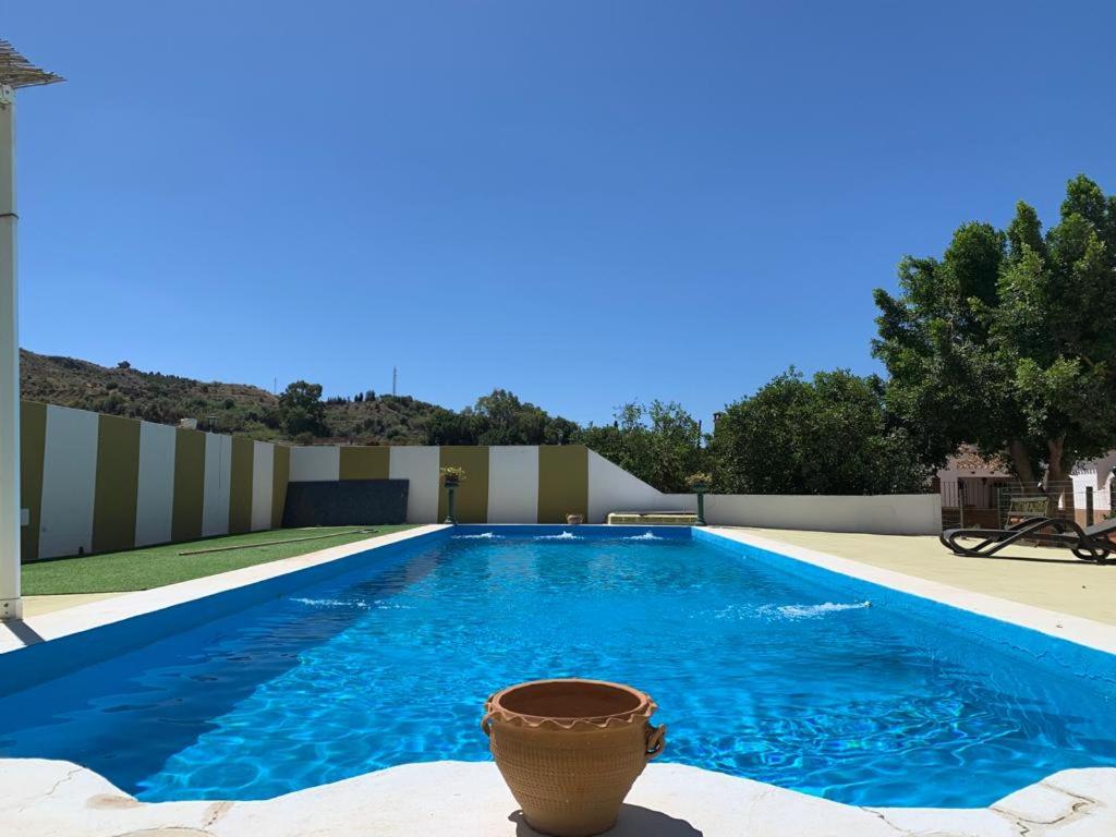 uma piscina com um plantador em frente em Casa Luz em Málaga