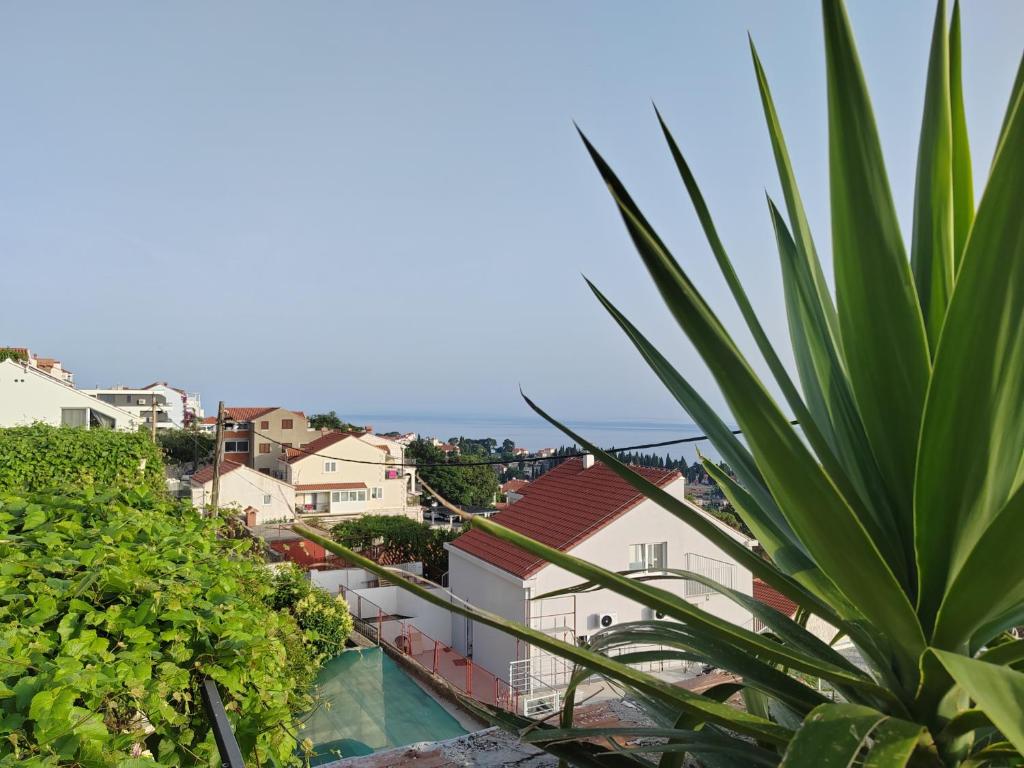 Mediterranean Vista - 15