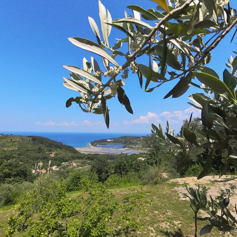 a view of the ocean from a hill at ForRest Apartment in Portorož
