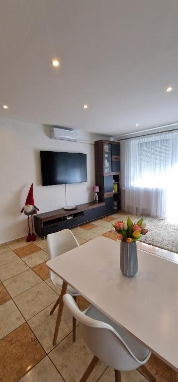 Televízia a/alebo spoločenská miestnosť v ubytovaní Víztorony apartman