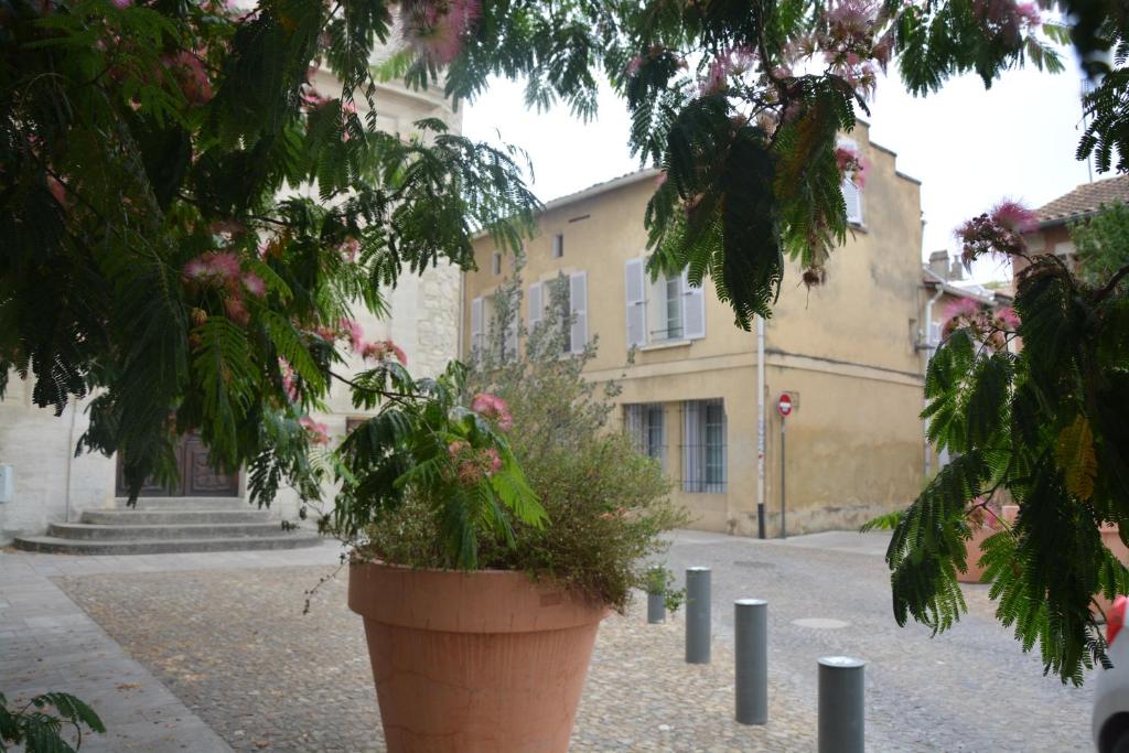 un grande vaso di fiori su una strada di Maison Rascas ad Avignone