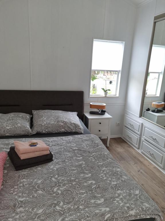 um quarto com uma cama, um lavatório e 2 janelas em Storchenhof Mobilheim 1 em Katzow