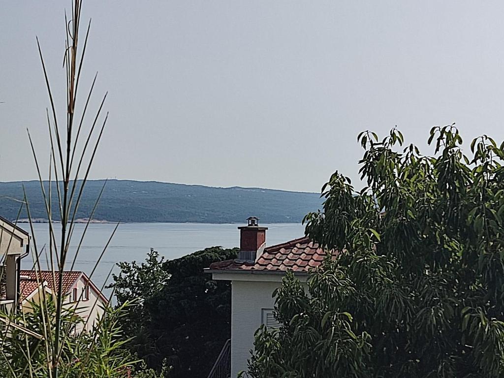Příroda nedaleko apartmánu