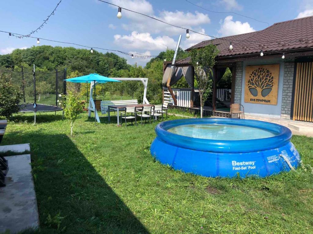 a large blue tub in the yard of a house at Ехо Природи in Kamianets-Podilskyi