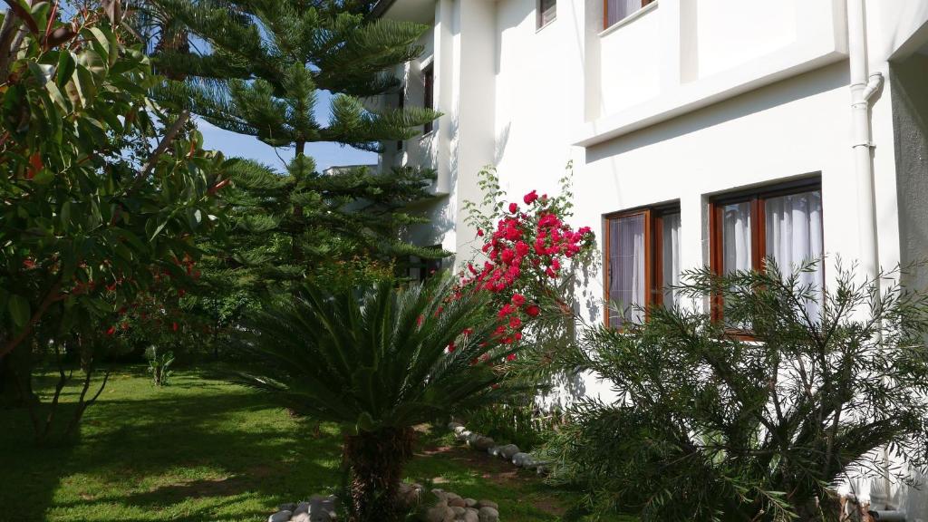 Zahrada ubytování Aida Hotel