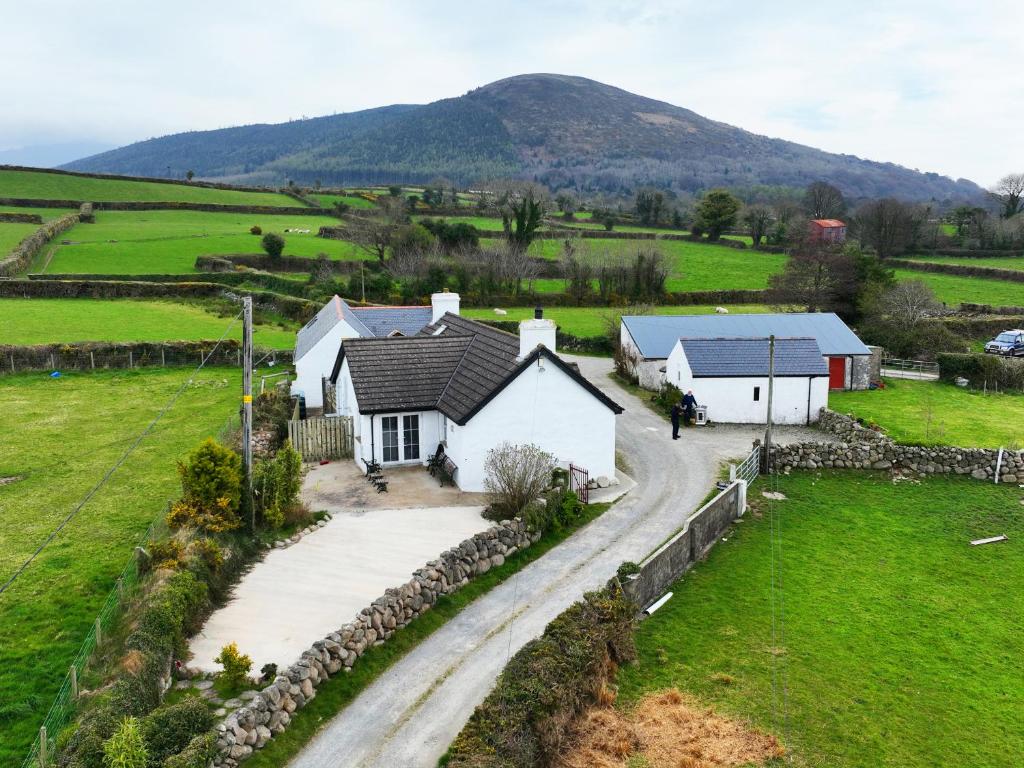 a house in a field with a mountain in the background at Carol Cottage in Newry