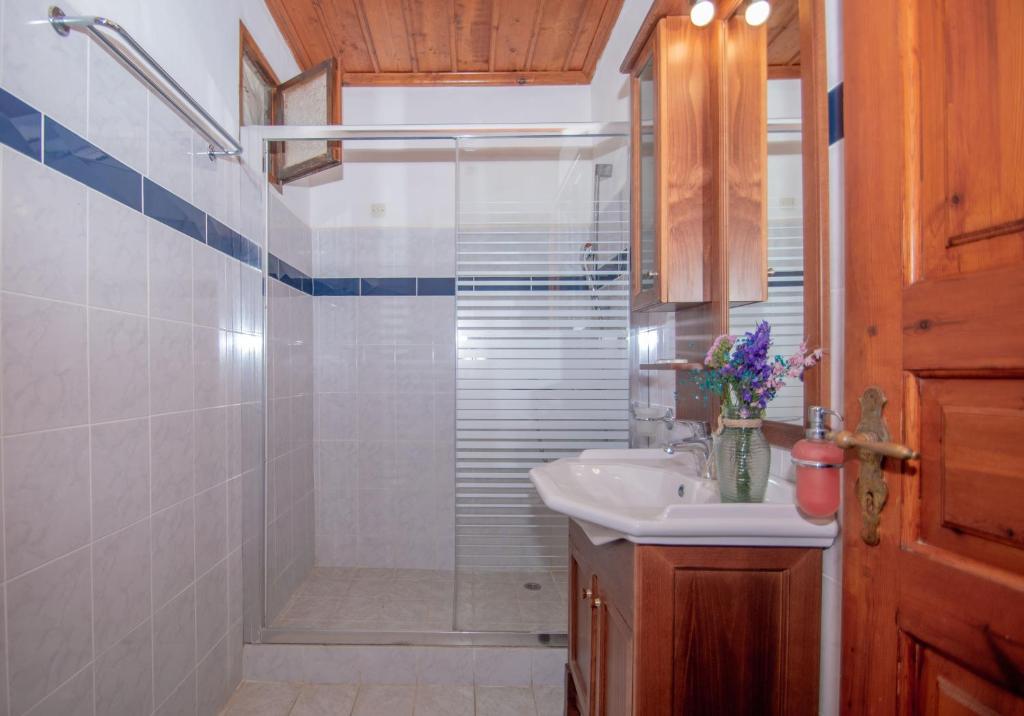 bagno con doccia, lavandino e servizi igienici di Arpyia a Vasilikós