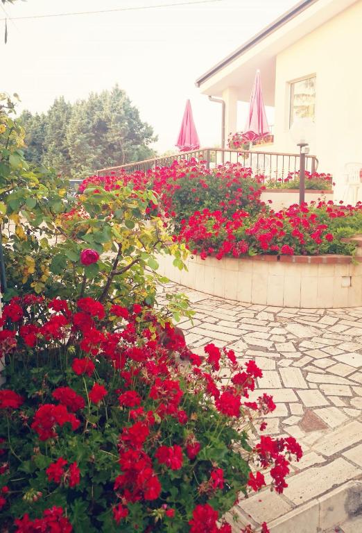 Zahrada ubytování B&B Villa Lena