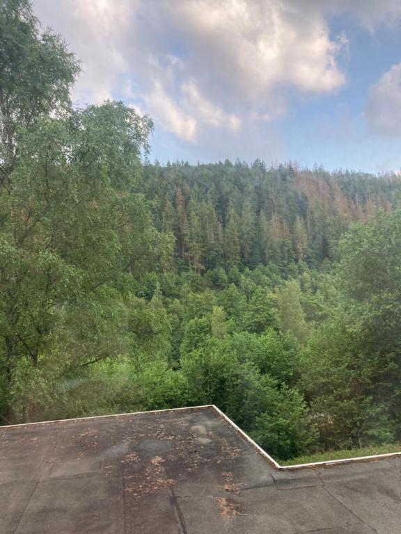 a view of a forest of trees from the top of a building at Waldblick in Simmerath