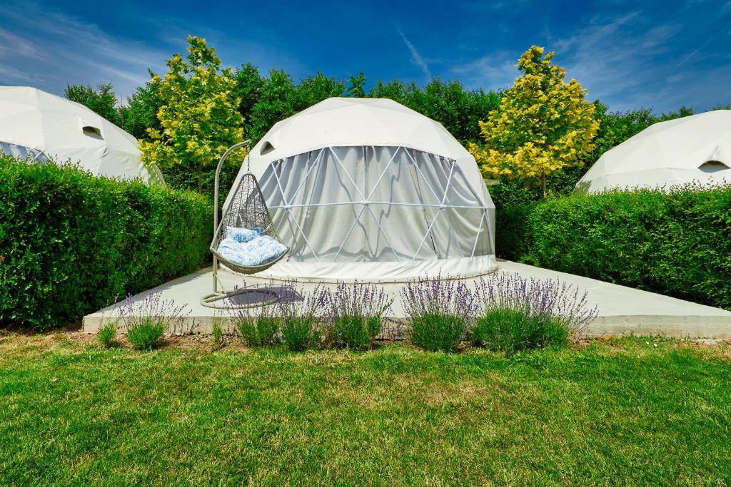 Zahrada ubytování Seagloo Glamping - Adults Only