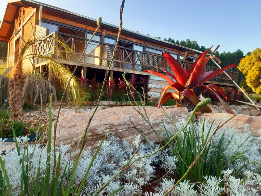 a house with a plant in front of it at Hospedagem Pé de Serra in Botucatu