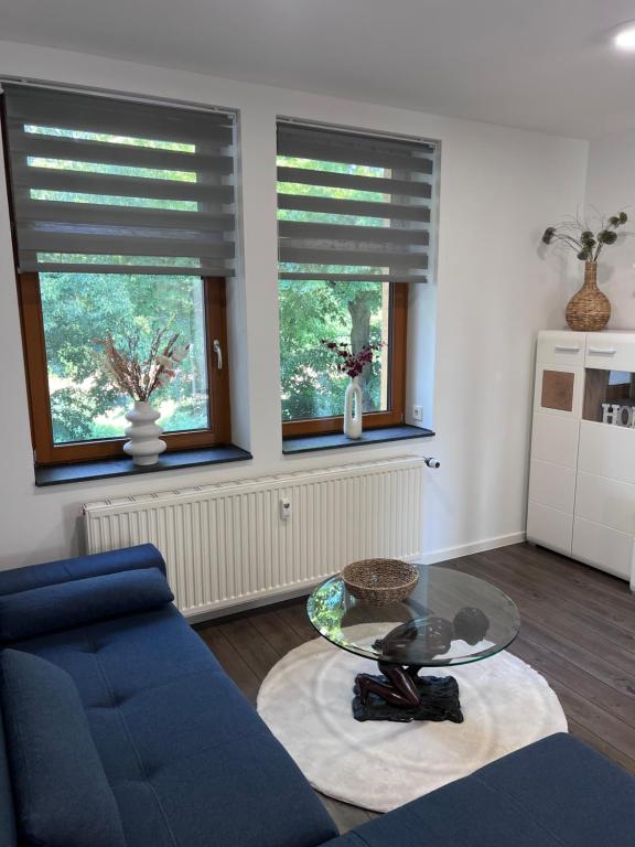 ein Wohnzimmer mit einem blauen Sofa und einem Glastisch in der Unterkunft Zentrale Ferienwohnung in Eisenach