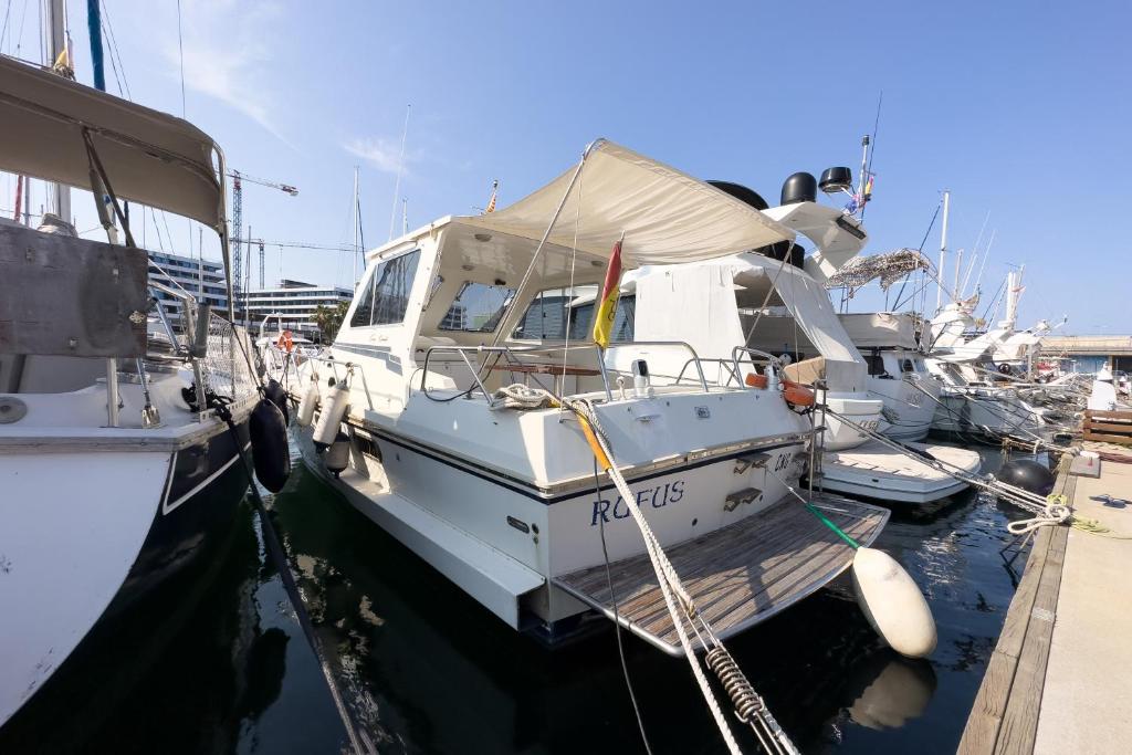 Eine Gruppe von Booten liegt in einem Hafen vor Anker. in der Unterkunft Rufus Port Forum in Barcelona