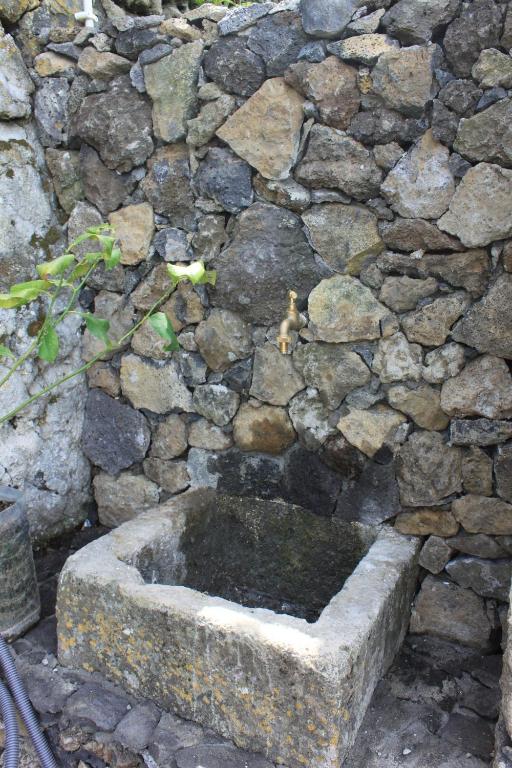 Fotografie z fotogalerie ubytování Quinta das Rosas Villas v destinaci Ribeira Grande