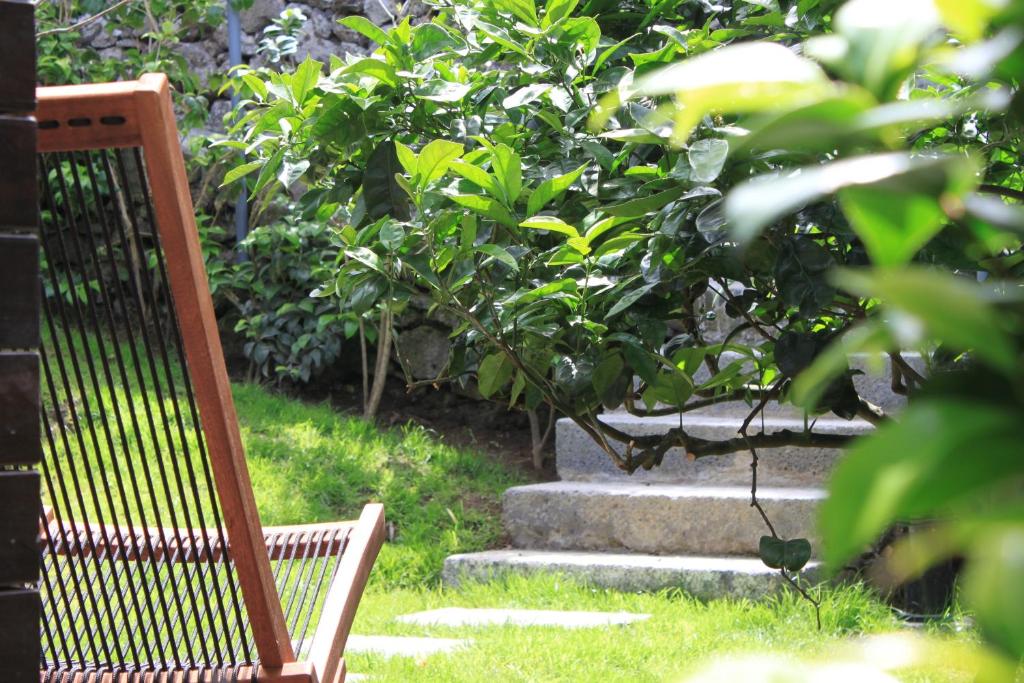 Zahrada ubytování Quinta das Rosas Villas