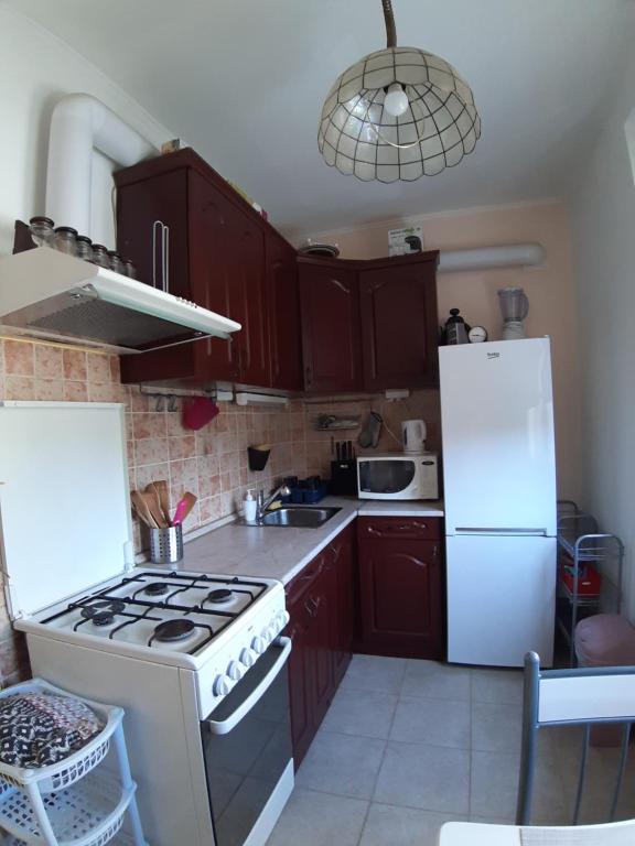 Kuchyň nebo kuchyňský kout v ubytování Apartment