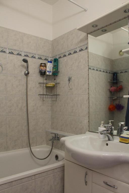 Koupelna v ubytování Apartment