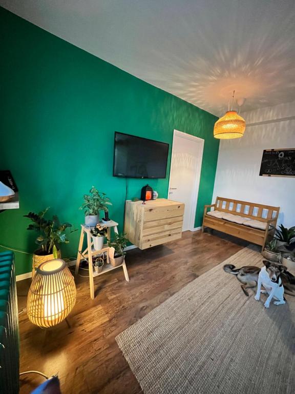 ein Wohnzimmer mit einer grünen Wand und einem TV in der Unterkunft Nirvana Petrovaradin fortress View Liman Apartment in Novi Sad