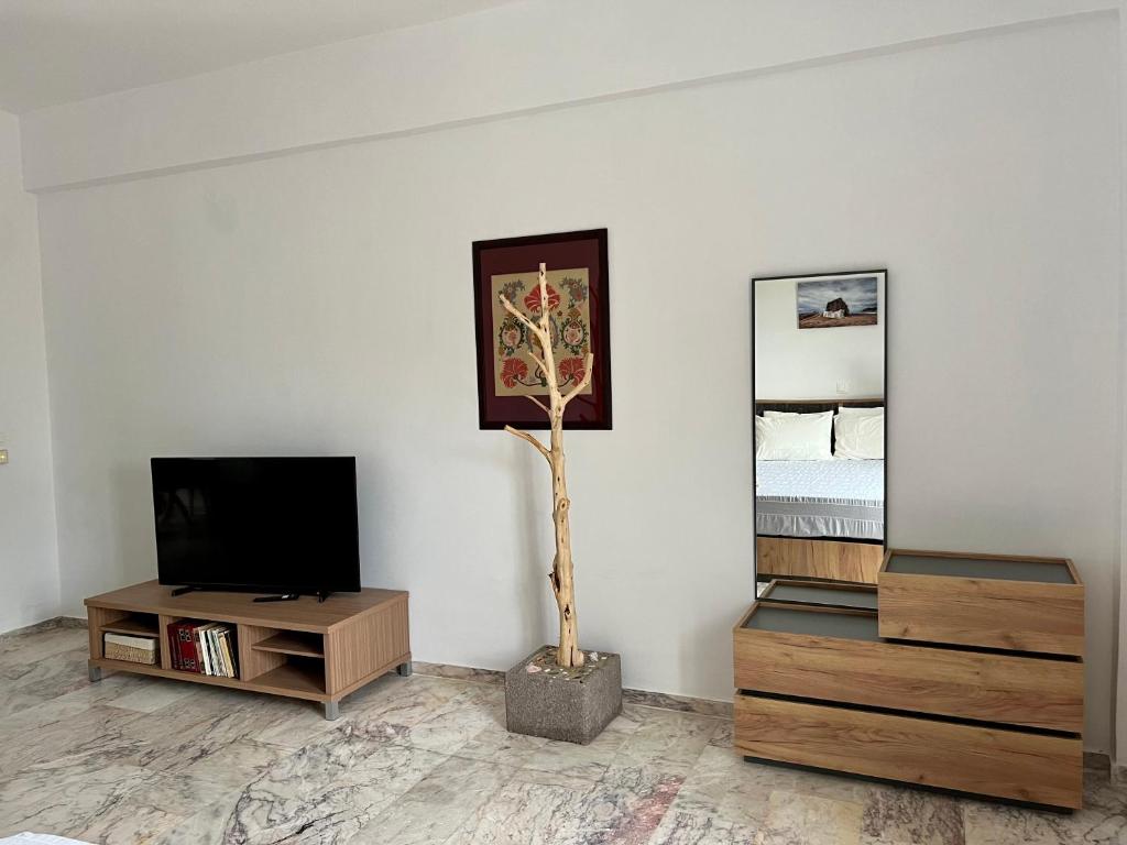 a living room with a tv and a tree in the corner at ALAMENA II in Skiros