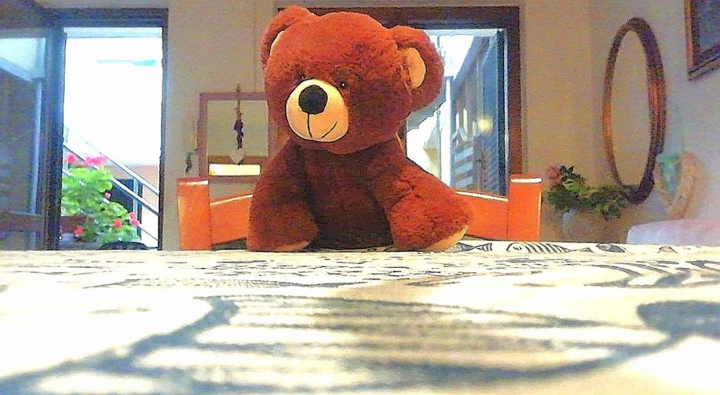 a teddy bear sitting on top of a table at Small Wave in Viareggio