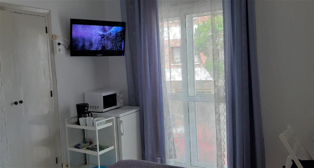 TV a/nebo společenská místnost v ubytování Hostal Nevada