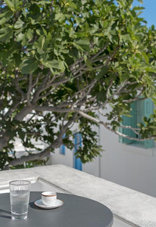 Fotografie z fotogalerie ubytování Anestorema House v destinaci Astypalaia