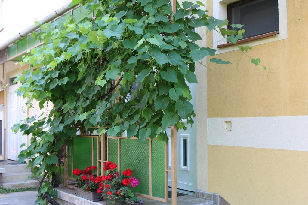 a tree in front of a building with red flowers at Hajnalka Apartmanház in Gyula