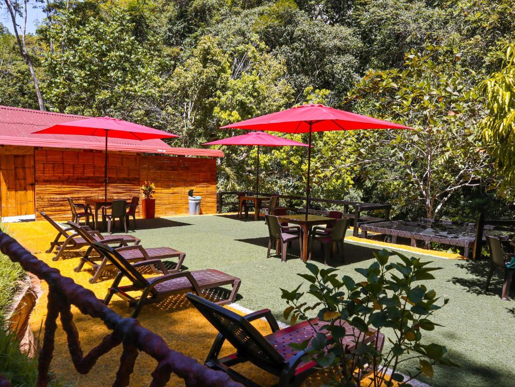 Zahrada ubytování Glamping Río Claro