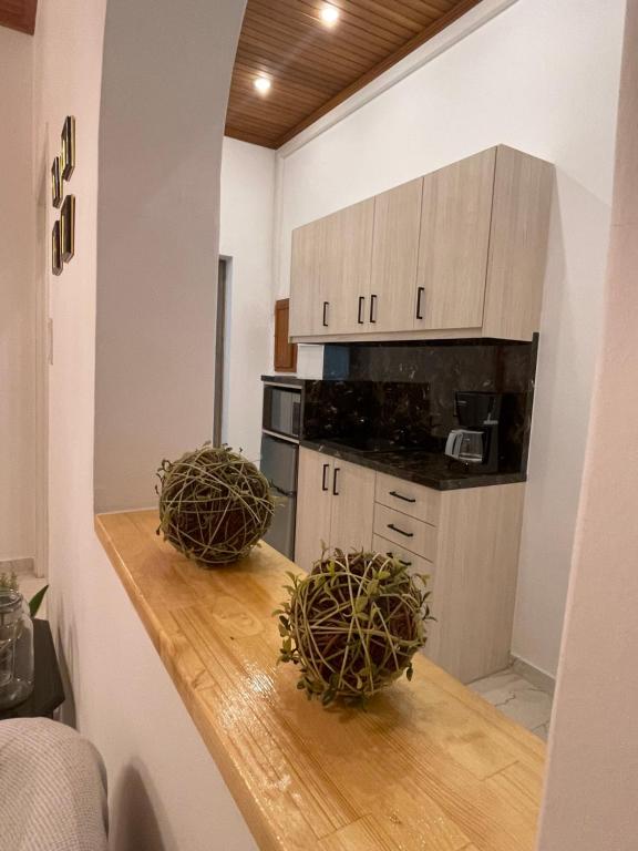 斯巴達的住宿－Emerald Apartment，木柜台上的厨房,有两株植物