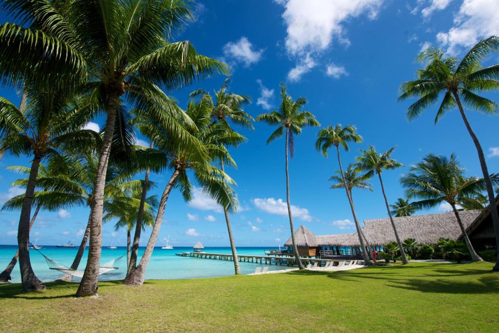 un complexe avec des palmiers sur la plage dans l'établissement Hotel Kia Ora Resort & Spa, à Avatoru