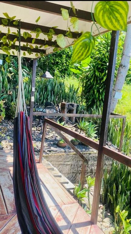 Zahrada ubytování Cabaña Tierra Verde eje Cafetero