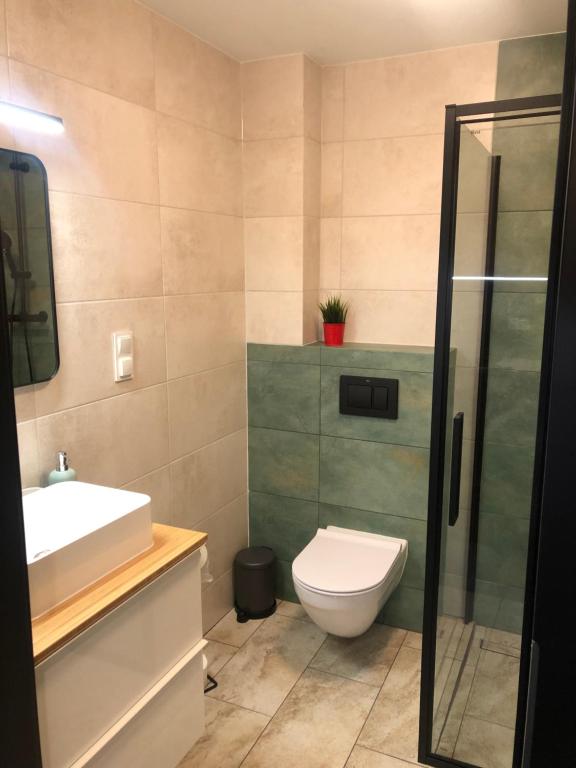 Apartamenty Antonio 2 - 6
