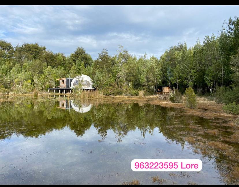 Příroda nedaleko apartmánu