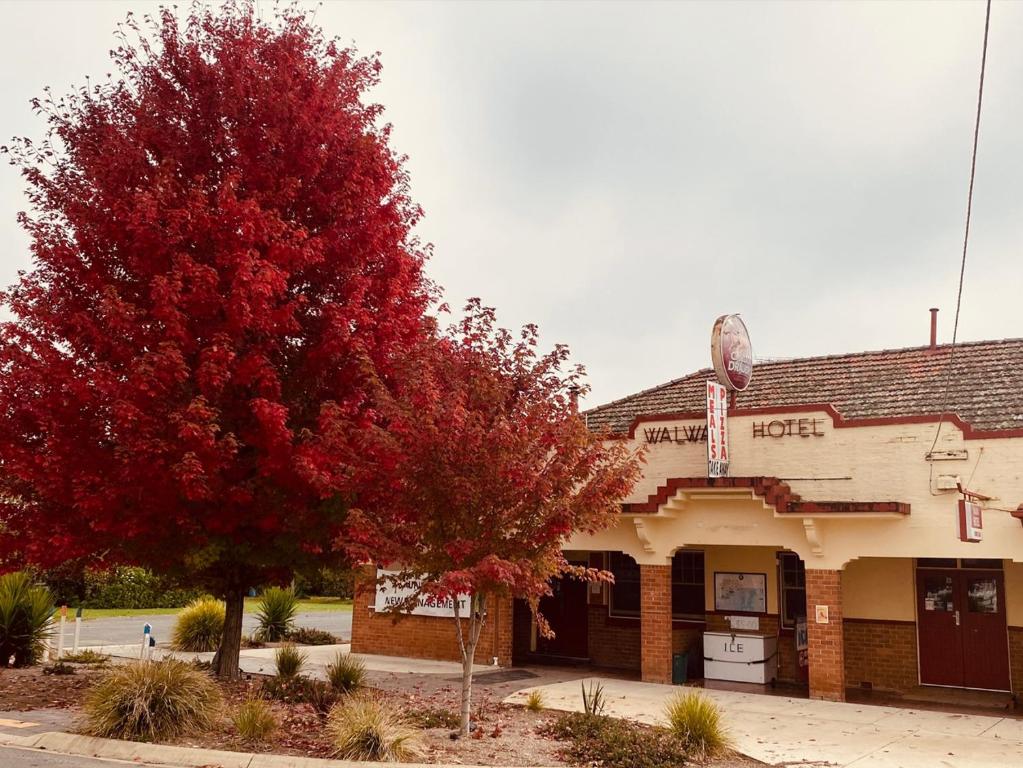 a building with a red tree in front of it at Walwa Hotel 