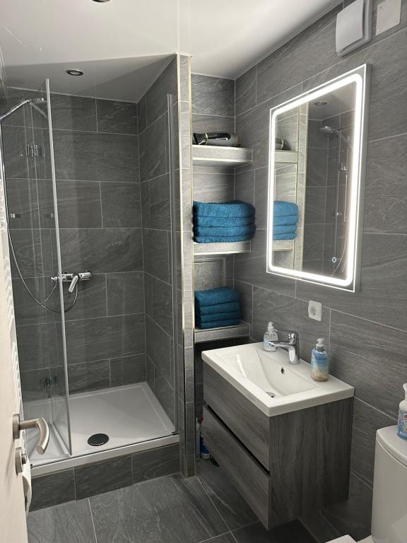 ein Bad mit einer Dusche, einem Waschbecken und einem Spiegel in der Unterkunft 2 Ferienwohnungen in einem Haus mit EBK, WLAN, SELF-CHECK-IN in Ittlingen