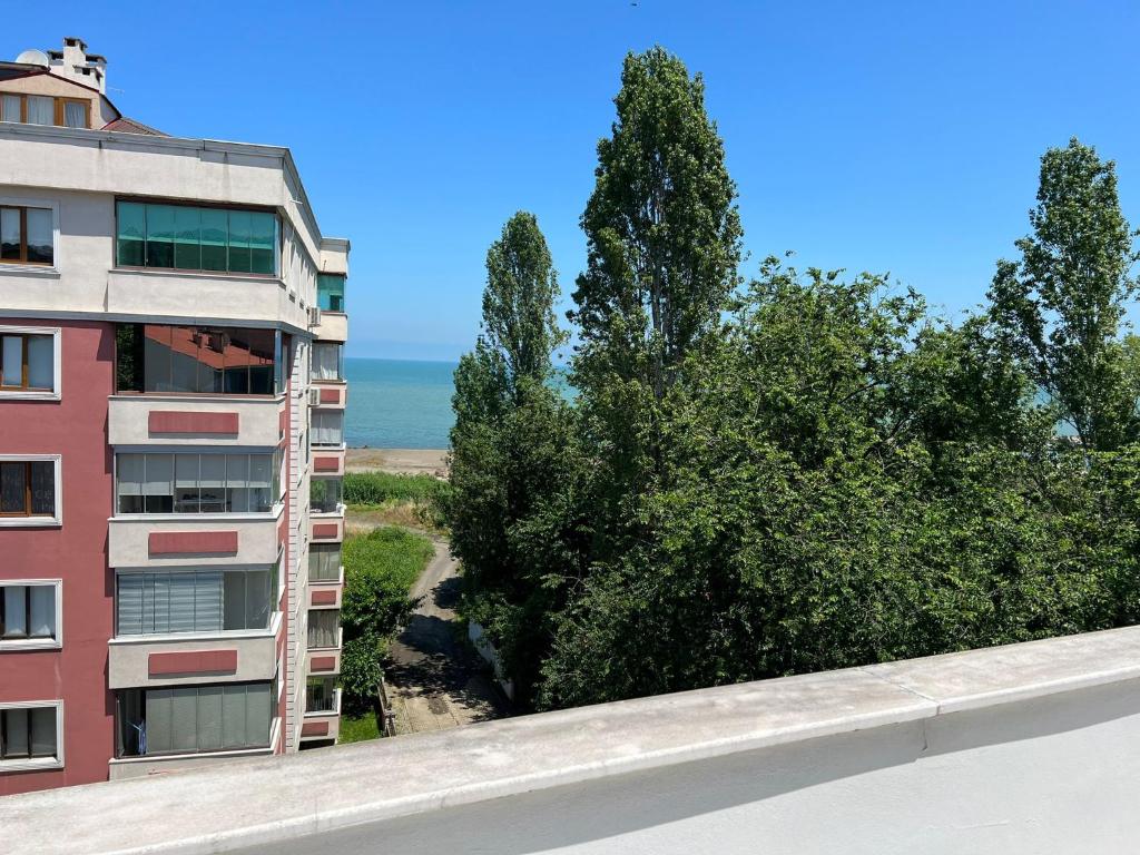 mersin ifşa filmin six özbekistan